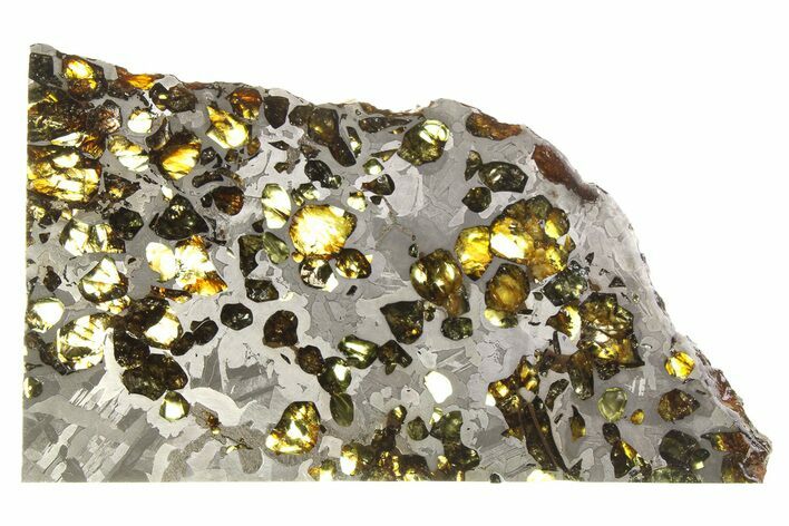 Seymchan Pallasite Meteorite Slice ( g) - Russia #264925